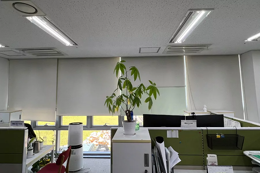세종 사무실썬팅 시공 현장